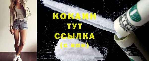 тгк Аркадак