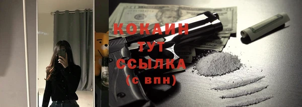 сатива Армянск