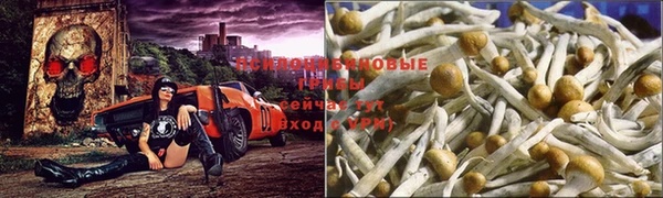 mdma Лагань