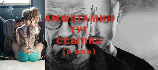 прущие грибы Беломорск