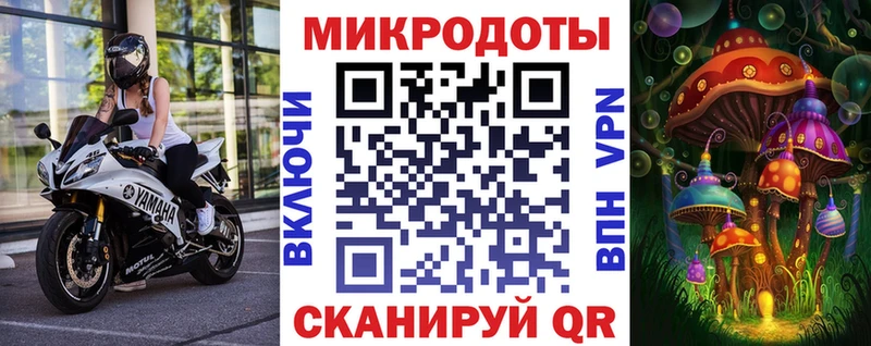 дарнет шоп  Мурманск  Псилоцибиновые грибы MAGIC MUSHROOMS 
